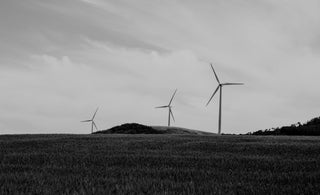 Climate Crisis